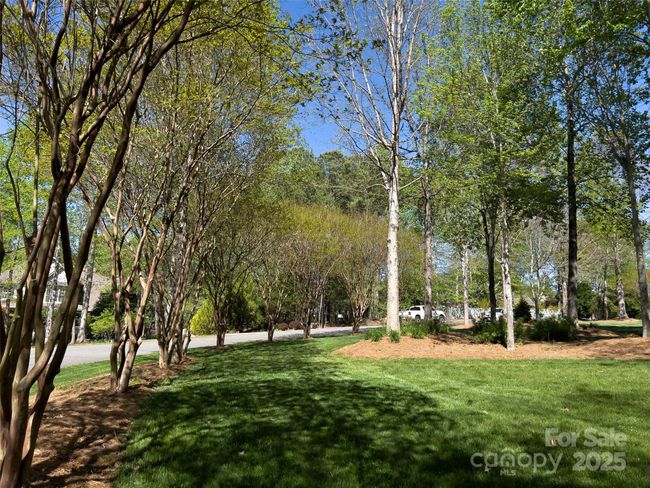 484 Chisholm Trl, House other with 4 bedrooms, 5 bathrooms and null parking in Rutherfordton NC | Image 27