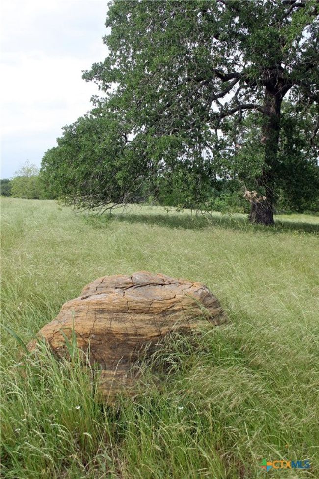 854 Pettytown Rd, Home with 3 bedrooms, 2 bathrooms and null parking in Red Rock TX | Image 39