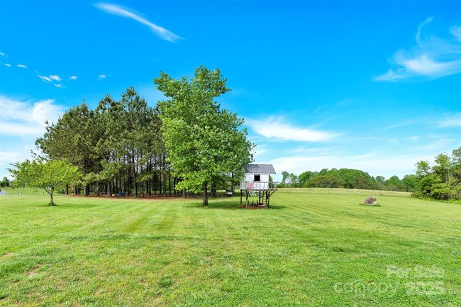 Back Yard with Treehouse | Image 37
