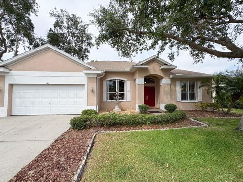 1121 Riveredge Dr, TARPON SPRINGS, FL, 34689-6250 | Card Image