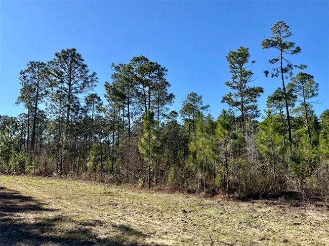 0 Robert White Rd, Home with 0 bedrooms, 0 bathrooms and null parking in Bay Minette AL | Image 25