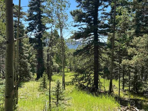1012 El Camino Real, Angel Fire, NM, 87710 | Card Image