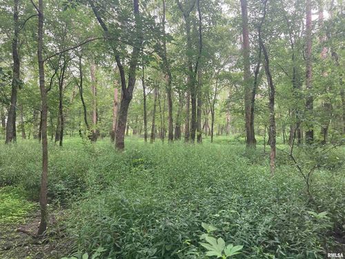 000 Herms Rd, Bartelso, IL, 62218 | Card Image