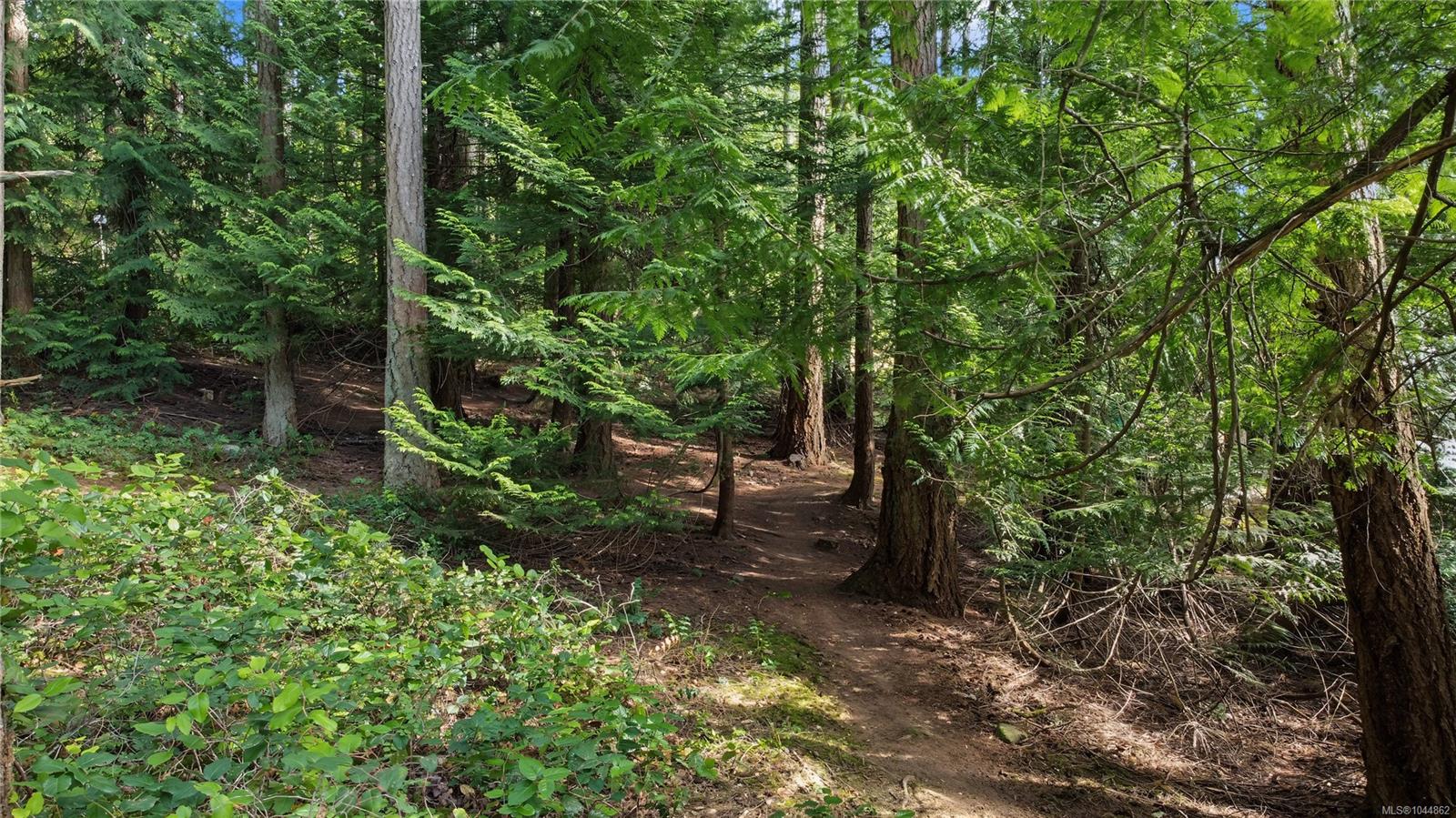 Residential in Saanich 4