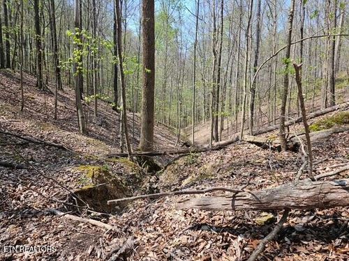 5 Acres Benton Tidwell Rd, Hilham, TN, 38568 | Card Image