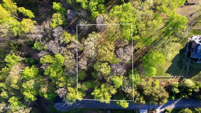 39 Apple Tree Dr, Home with 0 bedrooms, 0 bathrooms and null parking in Clinton TN | Image 9