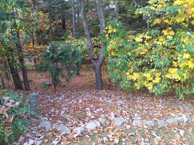 15 Coleridge Rd, House other with 4 bedrooms, 3 bathrooms and null parking in Nashua NH | Image 52