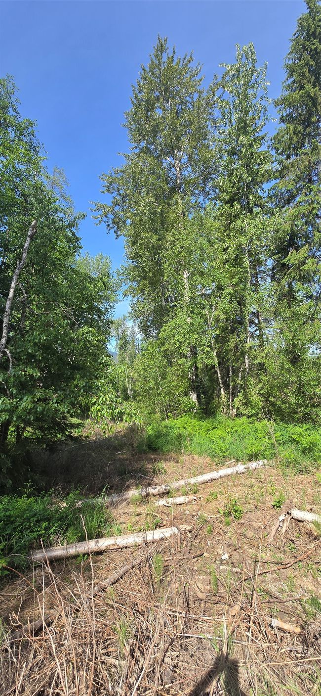 277 Seville Ln, Home with 0 bedrooms, 0 bathrooms and null parking in Coram MT | Image 6