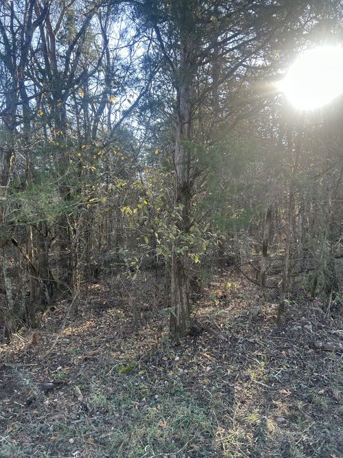 0 Midland Fosterville Rd, Bell Buckle, TN, 37020 | Card Image