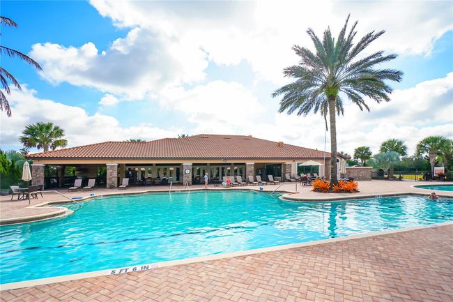 Lap pool at the Amenity Center | Image 71
