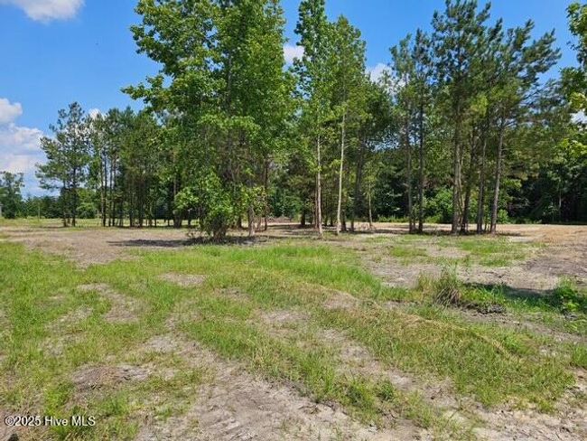 210 Memory Ln, Home with 0 bedrooms, 0 bathrooms and null parking in Burgaw NC | Image 6