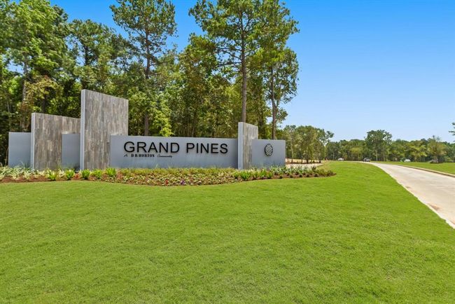24714 Sage Meadows Way, House other with 4 bedrooms, 2 bathrooms and 2 parking in Magnolia TX | Image 14