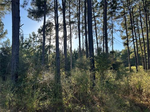 Tract 12A Fm 230, Lovelady, TX, 75851 | Card Image