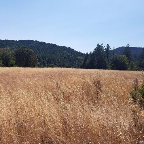 80090 Rd 442-B, Piercy, CA, 95587 | Card Image