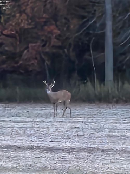 0 Section Line Road, New London, OH, 44851 | Card Image