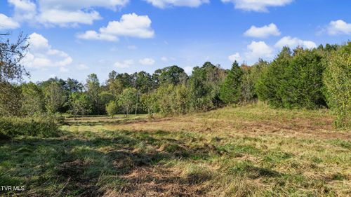 1985 Snake Hollow Road, Greeneville, TN, 37743 | Card Image