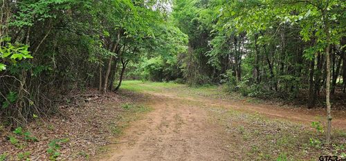 TBD Vz County Road 4814, Ben Wheeler, TX, 75754 | Card Image