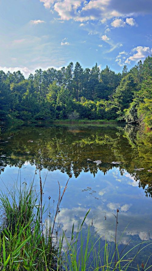 363 Fl-85, Laurel Hill, FL, 32567 | Card Image