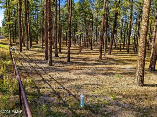 25319 Coronado Trl, Alpine, AZ, 85920 | Card Image