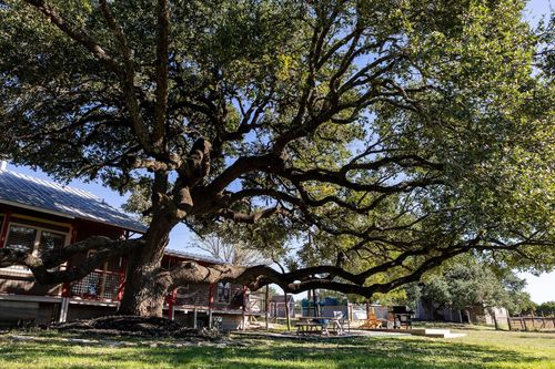 1901 Harmon Hills Rd, Dripping Springs, TX, 78620-3649 | Card Image