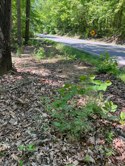 0 Etowah Rd, Calhoun, TN, 37309 | Card Image