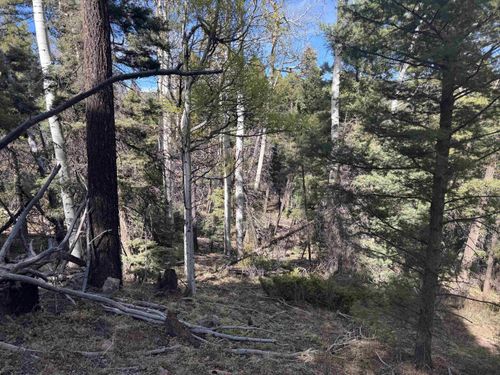 Lot 45 Back Basin Rd, Angel Fire, NM, 87710-8015 | Card Image