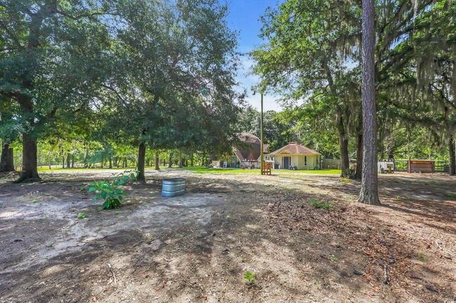 View of yard | Image 13