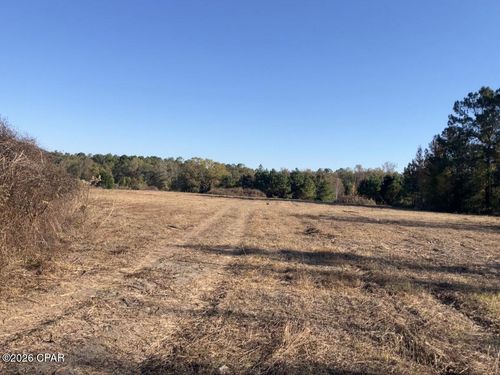 0 Ne State Road 65, Hosford, FL, 32334 | Card Image