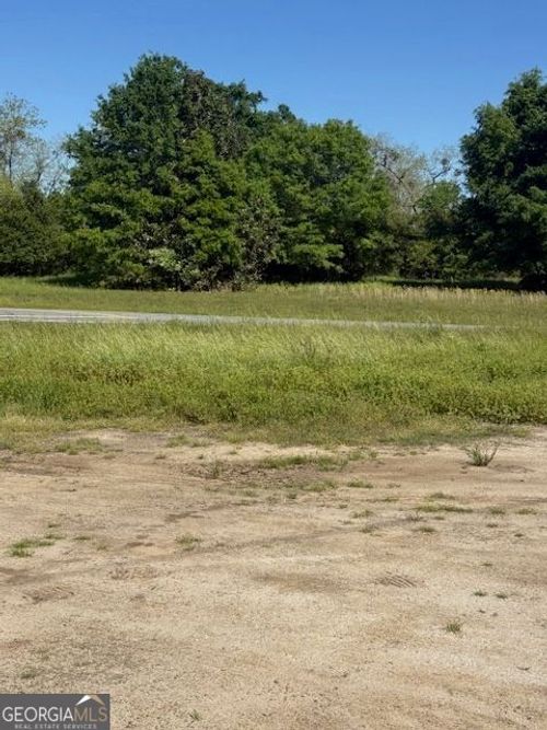 0 Ga Highway 257, Pineview, GA, 31071 | Card Image