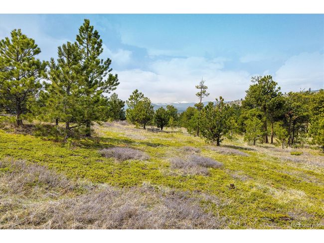 1713 Lost Angel Rd, Home with 0 bedrooms, 0 bathrooms and null parking in Boulder CO | Image 14