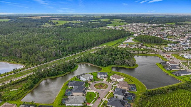 33668 Willow Point Ct, House other with 5 bedrooms, 4 bathrooms and null parking in WESLEY CHAPEL FL | Image 79