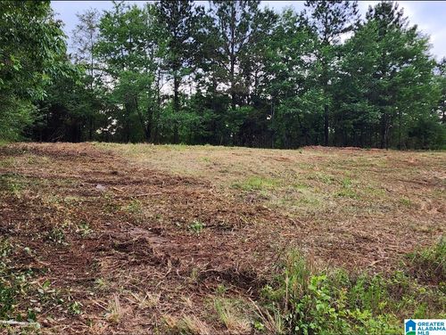 2-0 County Highway 13, Cleveland, AL, 35049 | Card Image