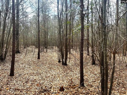1832 Saint Peters Church Rd, Little Mountain, SC, 29075-9533 | Card Image