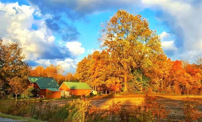 1859 4 Th Concession Rd, House other with 3 bedrooms, 2 bathrooms and 10 parking in Saint Williams ON | Image 44
