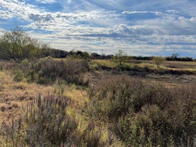 View of pond | Image 10