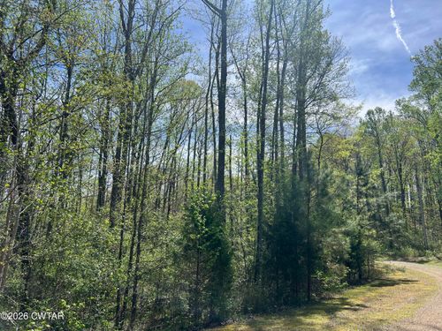 35 Torpedo Ct, Cedar Grove, TN, 38321 | Card Image