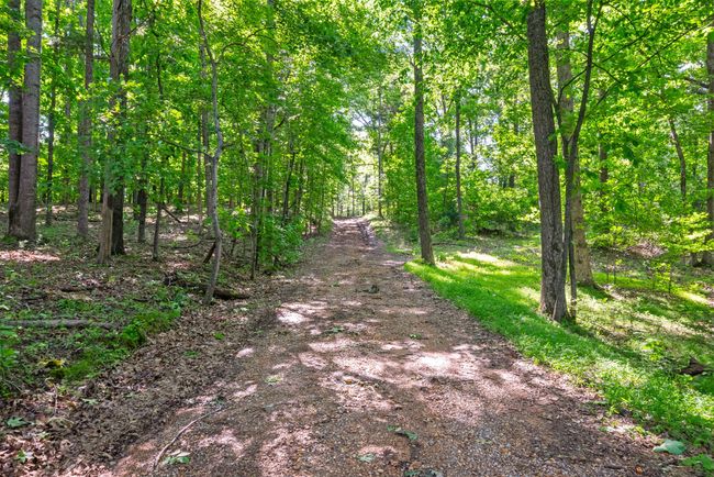 0 Happy Hills Acre Rd, Home with 0 bedrooms, 0 bathrooms and null parking in Woodlawn TN | Image 30