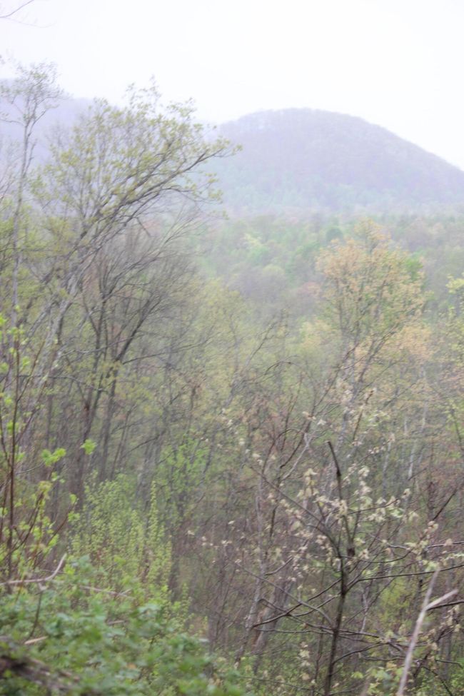 0 Routt Rd, Home with 0 bedrooms, 0 bathrooms and null parking in Wallingford KY | Image 13