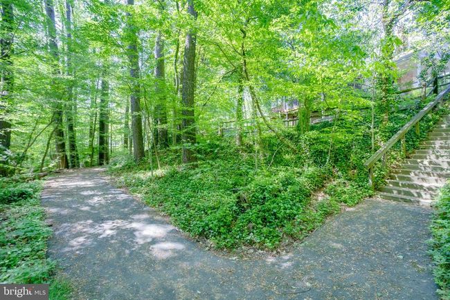 8801 Aquary Ct, House other with 5 bedrooms, 4 bathrooms and null parking in SPRINGFIELD VA | Image 34