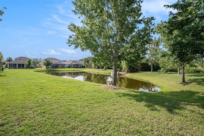 212 Shell Creek Ct, House other with 4 bedrooms, 3 bathrooms and null parking in APOLLO BEACH FL | Image 33