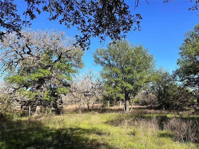 Lot 13 Cr 127, Home with 0 bedrooms, 0 bathrooms and null parking in Carlton TX | Image 24
