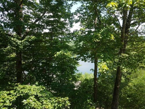 Lot 43 Kestrel Ridge Circle, Murphy, NC, 28906 | Card Image