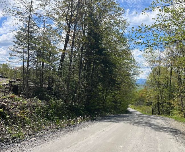1180 Abbott Hill Rd, Home with 0 bedrooms, 0 bathrooms and null parking in West Burke VT | Image 11