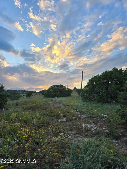 105 Antelope Trl, Nogal, NM, 88341-9507 | Card Image