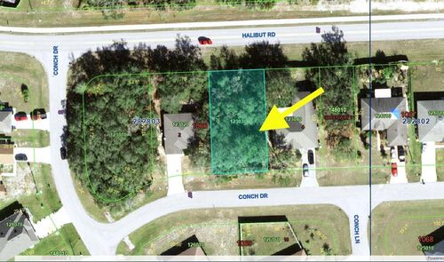 193 Conch Dr, KISSIMMEE, FL, 34759-4861 | Card Image