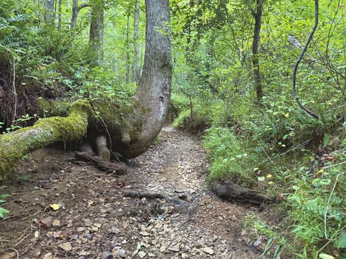 1 Rushing Ln, Lexington, TN, 38351 | Card Image