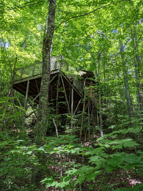 3.38 Long Creek, Robbinsville, NC, 28771 | Card Image