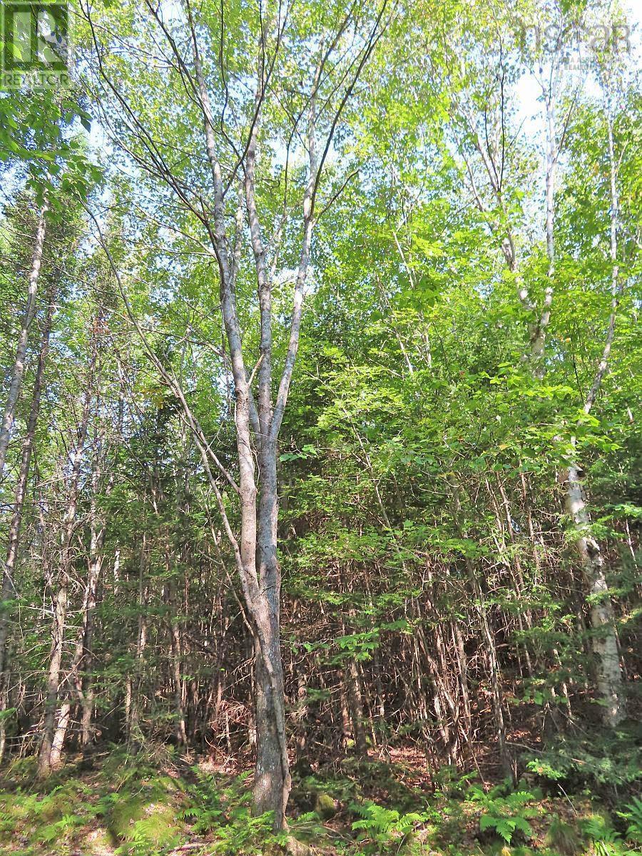 Land in Evanston 3