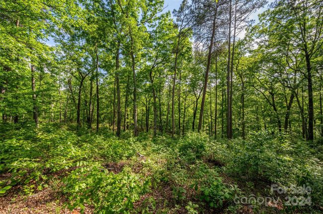 0 Walkaloosa Way, Home with 0 bedrooms, 0 bathrooms and null parking in Mooresboro NC | Image 19