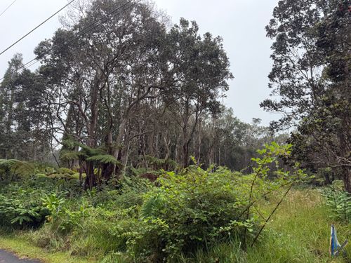 11-3885 2nd St, VOLCANO, HI, 96785 | Card Image